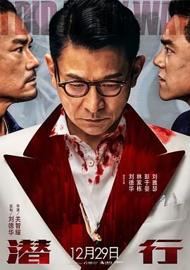 《夫妇联欢回不去的夜晚》海报